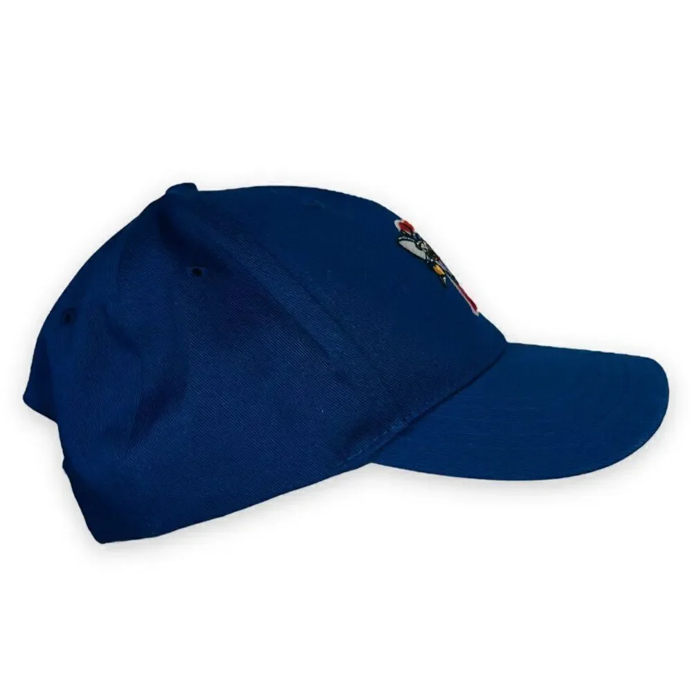 '47 Forty-Seven‎ Brand Binghamton Mets MiLB Hat Adjustable Youth / Kids
